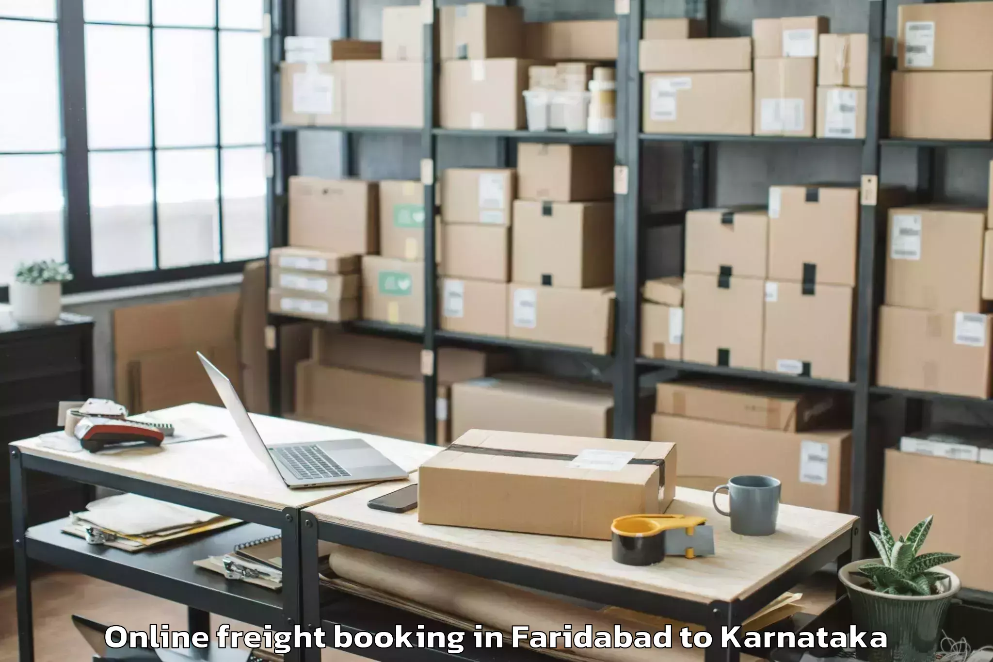 Easy Faridabad to Lingasugur Online Freight Booking Booking